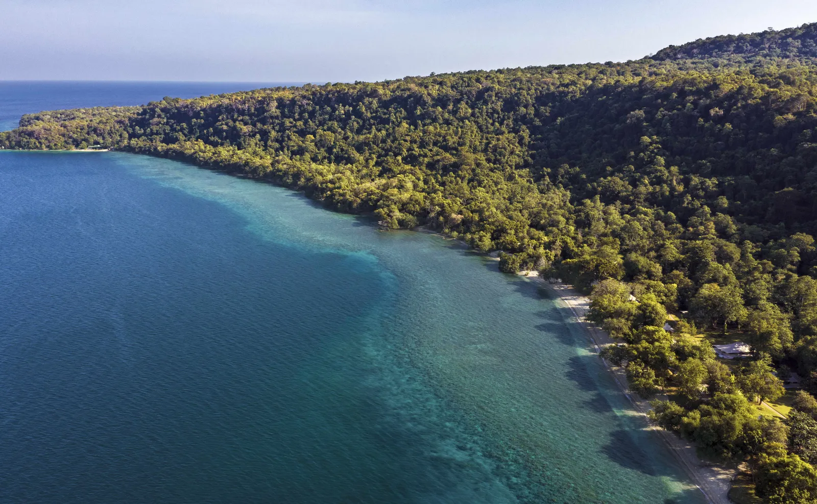 Amanwana, Moyo