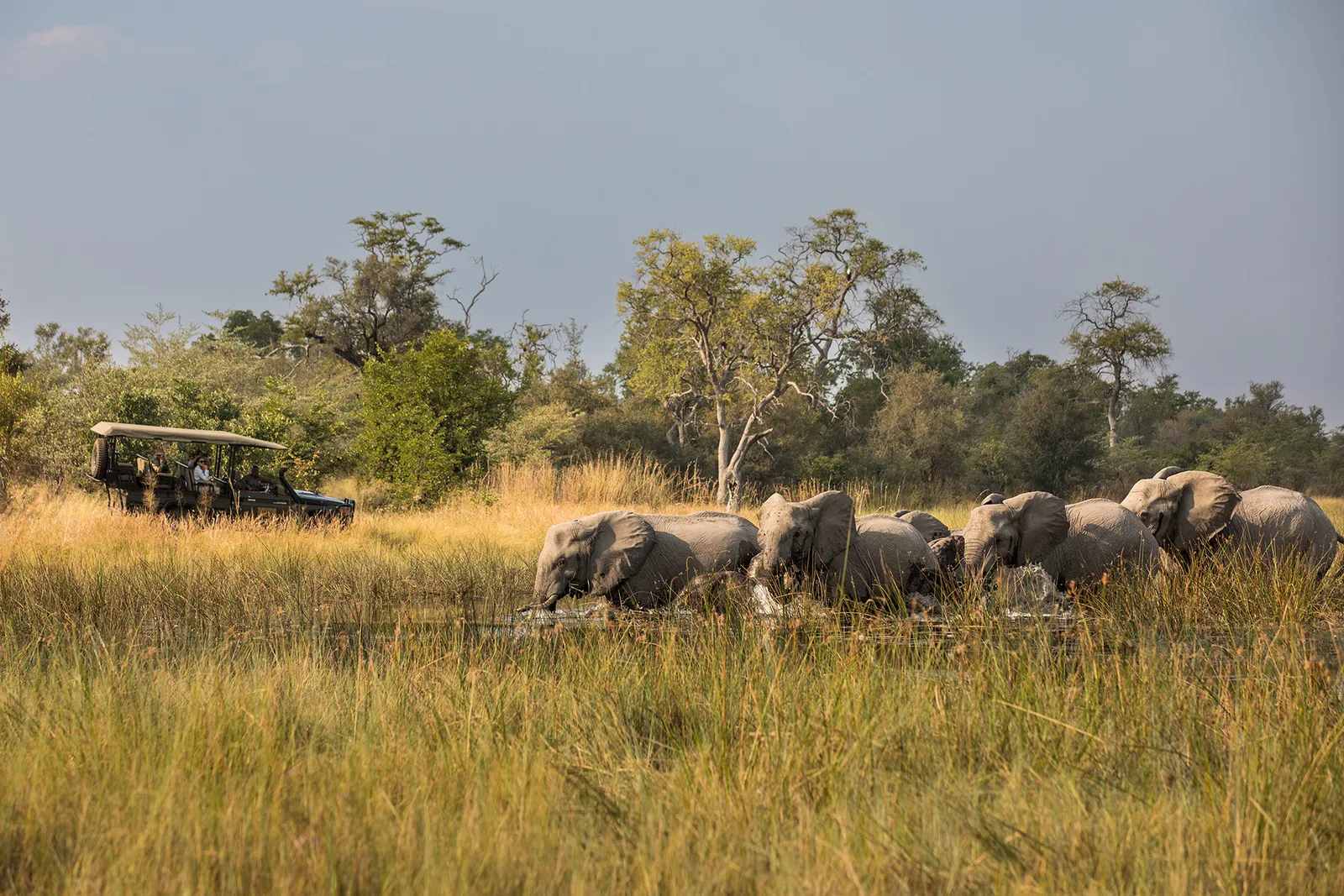 Zarafa Camp, Maun