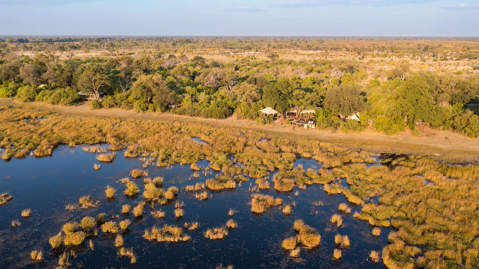 Zarafa Camp, Maun
