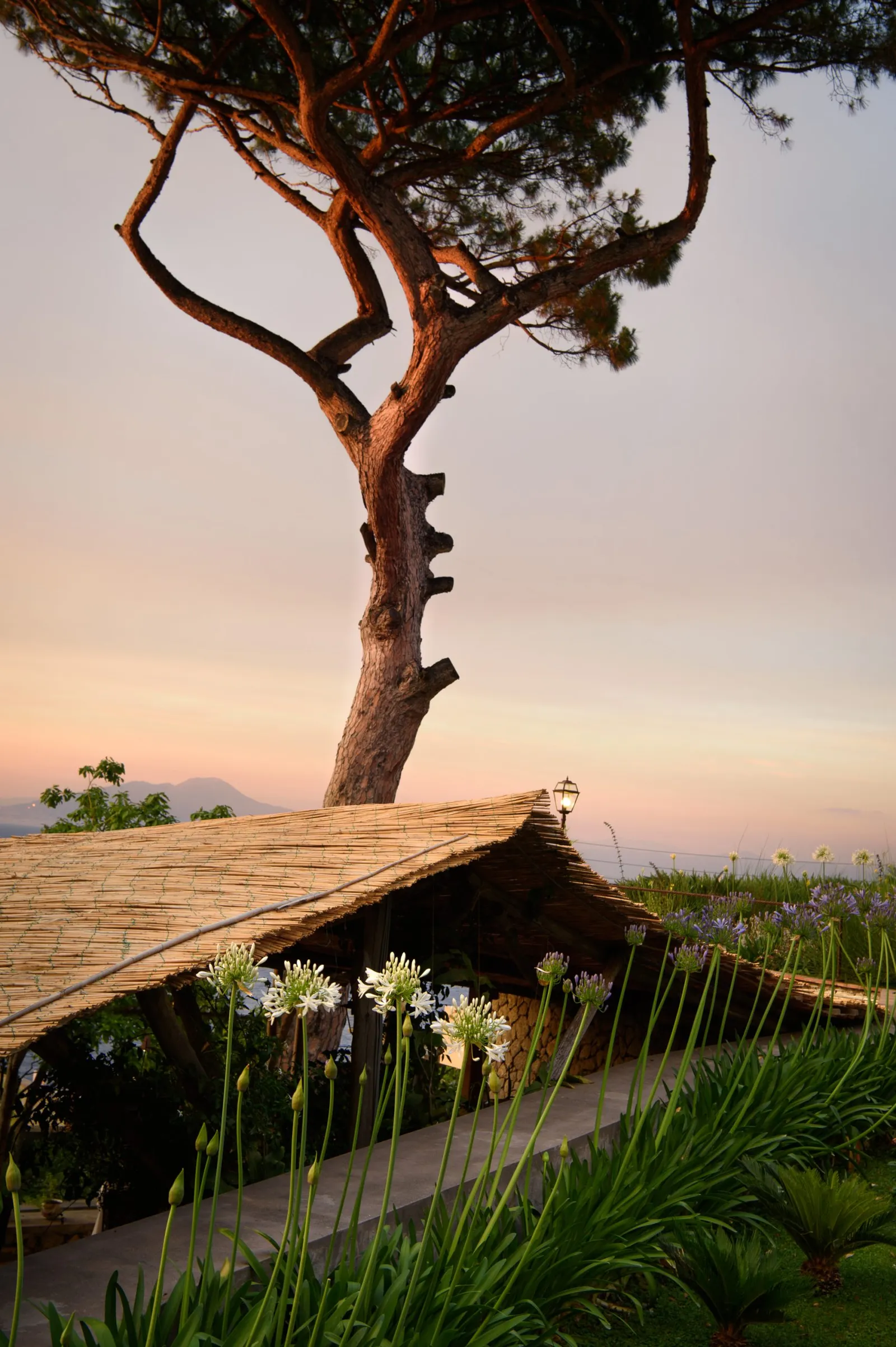 Villa Marina Capri Hotel & Spa, Capri