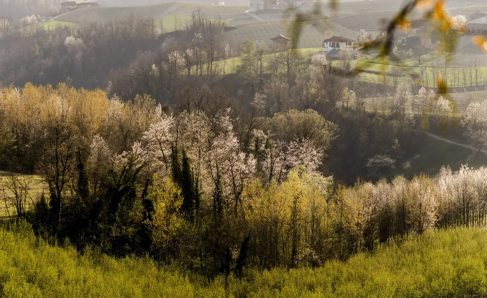 Casa di Langa, Cerretto Langhe