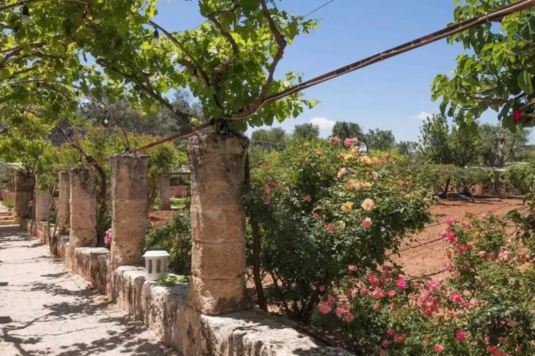 Masseria Torre Coccaro, Fasano